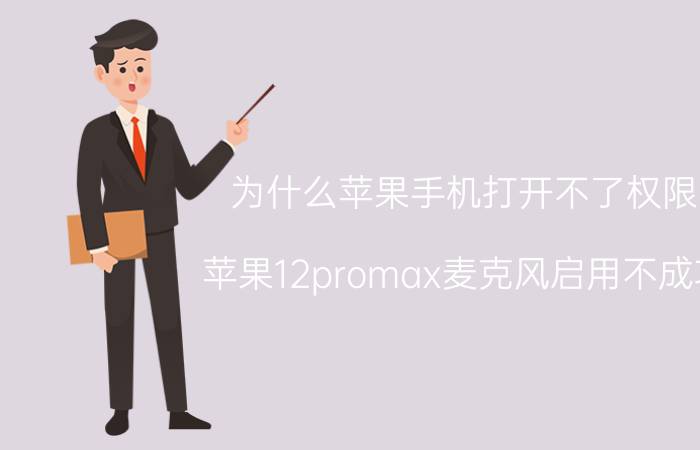 为什么苹果手机打开不了权限 苹果12promax麦克风启用不成功？